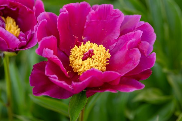 Solution d'hébergement de serveurs de jeux respectueuse de l'environnement